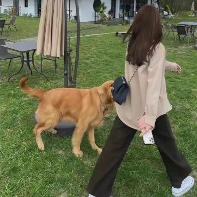 东方的承诺